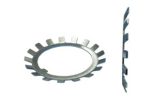 фото анонса Шайба многолапчатая DIN 5406 MB 5 (M25) сталь  цб интернет магазин Metizmarket